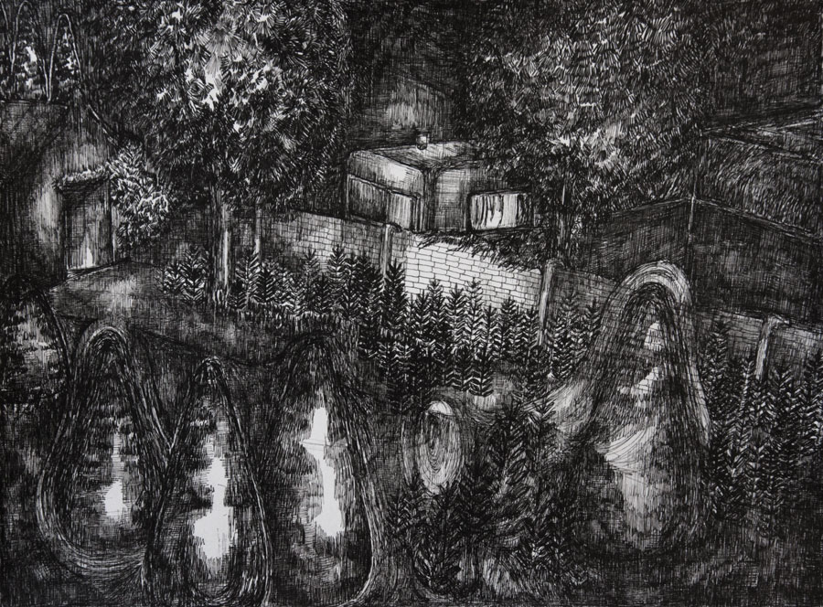Rozemarijn Westerink - Garden, pen and ink on paper, 50 x 65 cm, 2016